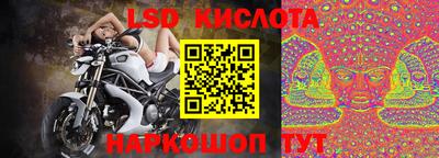 шишки Аргун