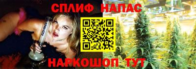 шишки Аргун