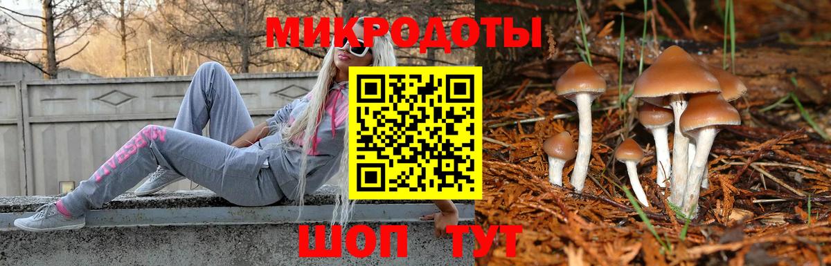 Псилоцибиновые грибы Cubensis Березники
