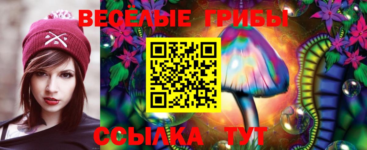 Галлюциногенные грибы ЛСД  Вход с VPN  Псилоцибиновые грибы ЛСД  Березники 
